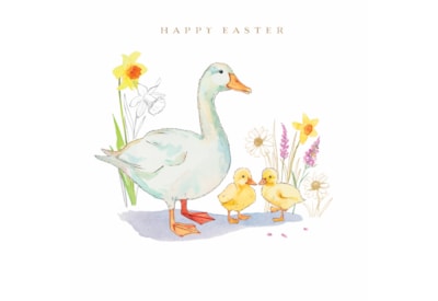 Ling Easter Easter Ducks Ling Easter Easter Ducks