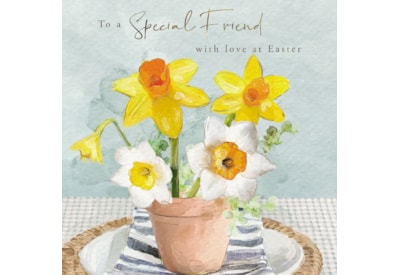 Ling Easter Special Friend Daffodil Pot On Table Scene Ling Easter Special Friend Daffodil Pot On Table Scene