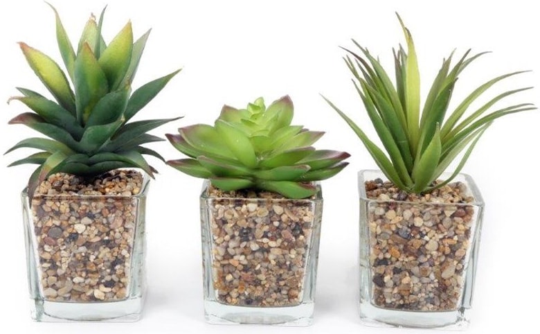 Sifcon Artificial Plants 6.5x17 (FL0998)