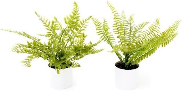 Sifcon Artificial Fern In White Pot (FL1105)