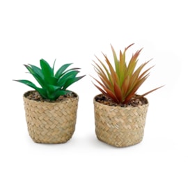 Sifcon Succulent Grass Pot 8.5x16 (FL1295)