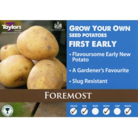 Taylors Foremost Seed Potato 2kg (VACH08)