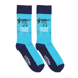 You Old Fossil Socks