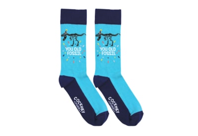 You Old Fossil Socks