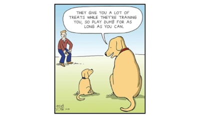 Ling Dog Treats Birthday Card Ling Dog Treats Birthday Card