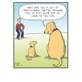 Ling Dog Treats Birthday Card