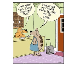 Ling Stay-Cation Birthday Card