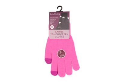 Ladies Phone Touch Gloves (GL419C)