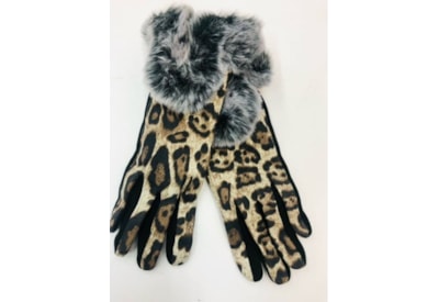 Ladies Gloves Asstd (GL9023)
