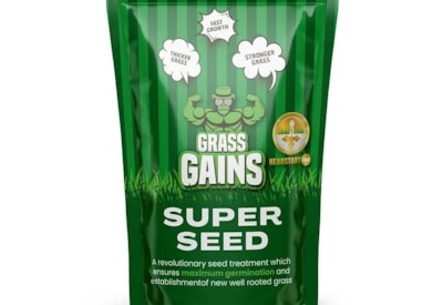 Grass Gains Super Seed Grass Seed 1kg Grass Gains Super Seed Grass Seed 1kg