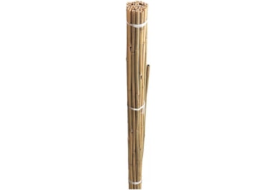 Gardman Bamboo Canes 10s 2.4mt Gardman Bamboo Canes 10s 2.4mt