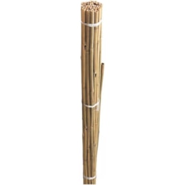 Gardman Bamboo Canes 10s 2.4mt (08093)