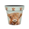 Creekwood Zest Pot Highland Cow 30Cm Creekwood Zest Pot Highland Cow 30Cm