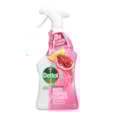 Dettol Anti Bac Multi Spray Pomegranate 750ml Dettol Anti Bac Multi Spray Pomegranate 750ml