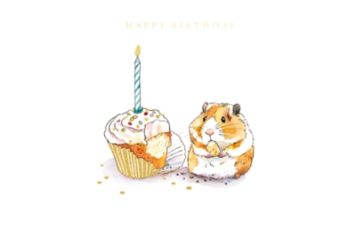 Willow & Walnut Birthday Cupcake Birthday Card (II1329)