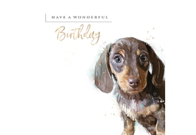A Paw-fect Day Birthday Card (IJ0136)