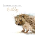 Ling Design Hedge-hugs Birthday Card Ling Design Hedge-hugs Birthday Card