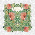 Ling Pimpernel Birthday Card Ling Pimpernel Birthday Card