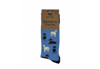 Eco Chic Blue Labradors Bamboo Socks 6-11 (SKL03BU)
