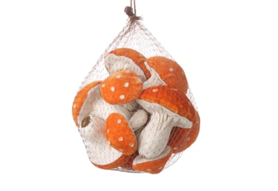 Heaven Sends Bag Of Velvet Spotted Orange Toadstools 17cm (KAA046)