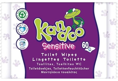 Kandoo Sensitive Toilet Wipes 60s (USP2183)
