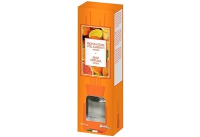 Prices Aladino Reed Diffuser Citrus 100ml Prices Aladino Reed Diffuser Citrus 100ml