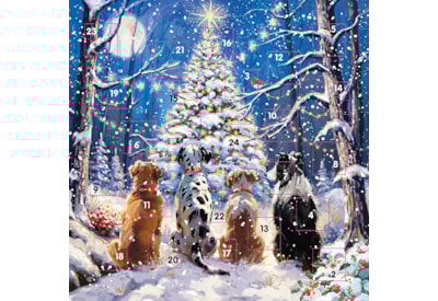 Advent Calendar -  Waiting For Santa