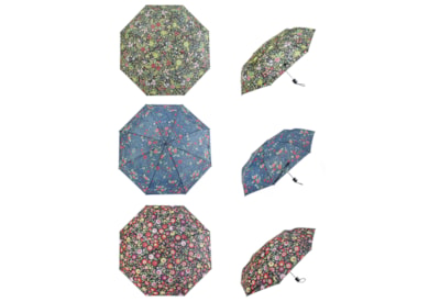 Lesser & Pavey Folding Umbrella Floral Asst Lesser & Pavey Folding Umbrella Floral Asst