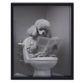 Wall Art- Poodle Wall Art- Poodle