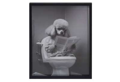Wall Art- Poodle Wall Art- Poodle