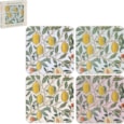 Fruits Coasters Set 4