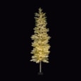 Premier Prelit Pine Needle Tree with 300 LED Warm White 1.8m Premier Prelit Pine Needle Tree with 300 LED Warm White 1.8m