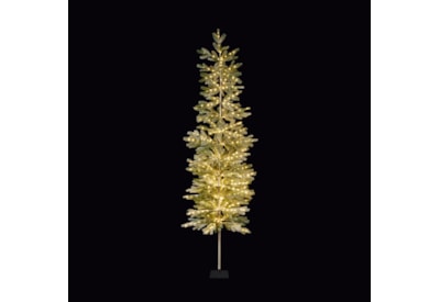 Premier Prelit Pine Needle Tree with 300 LED Warm White 1.8m Premier Prelit Pine Needle Tree with 300 LED Warm White 1.8m