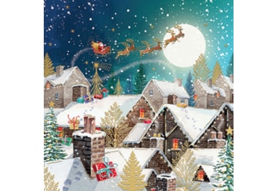 Christmas Card -  Flying By