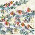 Christmas Card -  Christmas Robins