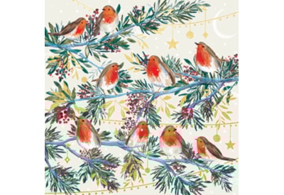 Christmas Card -  Christmas Robins
