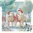 Christmas Card -  Woolie Friends