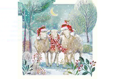 Christmas Card -  Woolie Friends