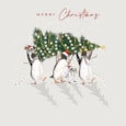 Christmas Card - Penguin Party Christmas Card - Penguin Party