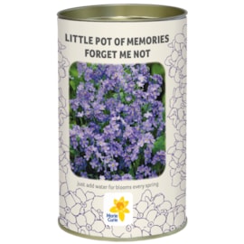 G Plants Marie Currie Little Pot Of Memories (120413)