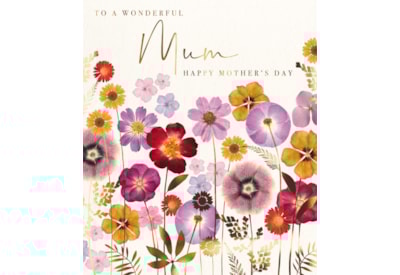 Ling Mothers Day Mum Wildflower Meadow Ling Mothers Day Mum Wildflower Meadow