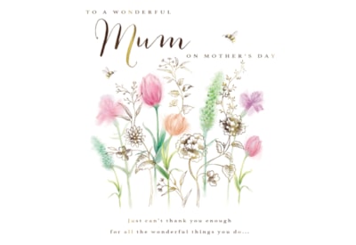 Ling Mothers Day Mum Flower Field Ling Mothers Day Mum Flower Field