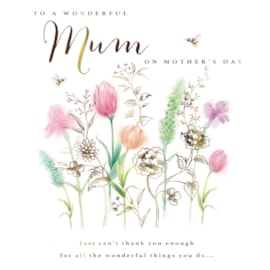 Ling Mothers Day Mum Flower Field