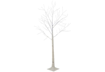 Micro Led Outdoor Birch Tree White/cool White 5ft 150cm (543265)