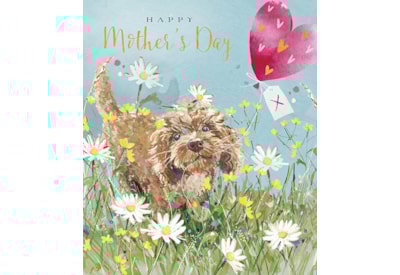 Ling Lovely Day Mothers Day Card Ling Lovely Day Mothers Day Card
