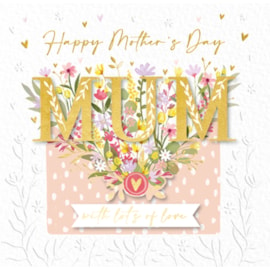 Lots Of Love Mothers Day Card (MMMA0131W)