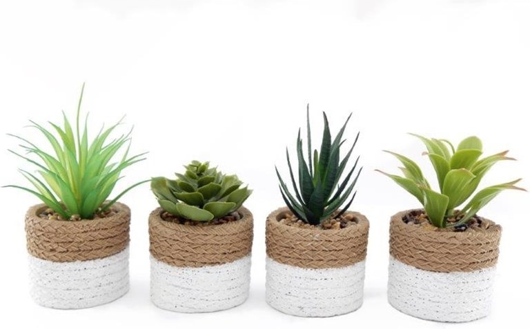 Sifcon Mediterranean Succulent In 2 Tone Pot (MN0014A)