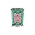 Prices Tropical Bloom Jar Candle Cluster Prices Tropical Bloom Jar Candle Cluster