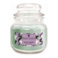 Prices Silent Garden Jar Candle Small Prices Silent Garden Jar Candle Small
