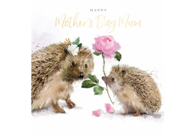 Ling Mothers Day A Rose For Mum Ling Mothers Day A Rose For Mum